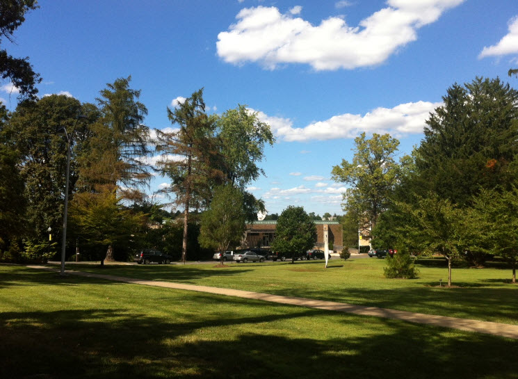 William F. Curtis Arboretum, United States